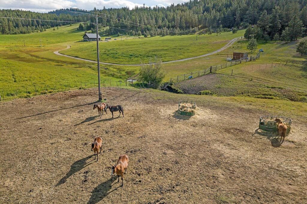 Wilderness Cabin - Eden Valley Oroville Экстерьер фото